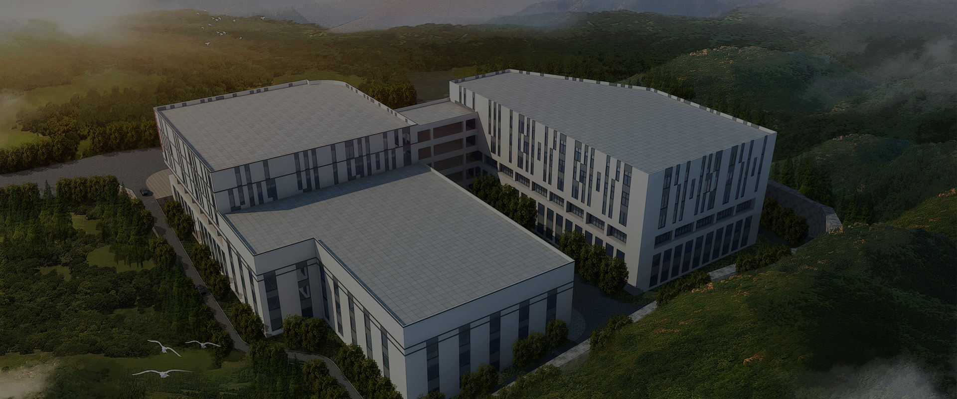 ���_���������ò��������I����